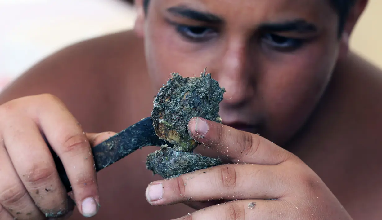 Pencari mutiara menggunakan pisau mengupas cangkang kerang di pelabuhan Khairan, Kuwait (2/8). Warga Kuwait Berburu mutiara setiap tahun sekali. (AFP PHOTO/Yasser Al-Zayyat)