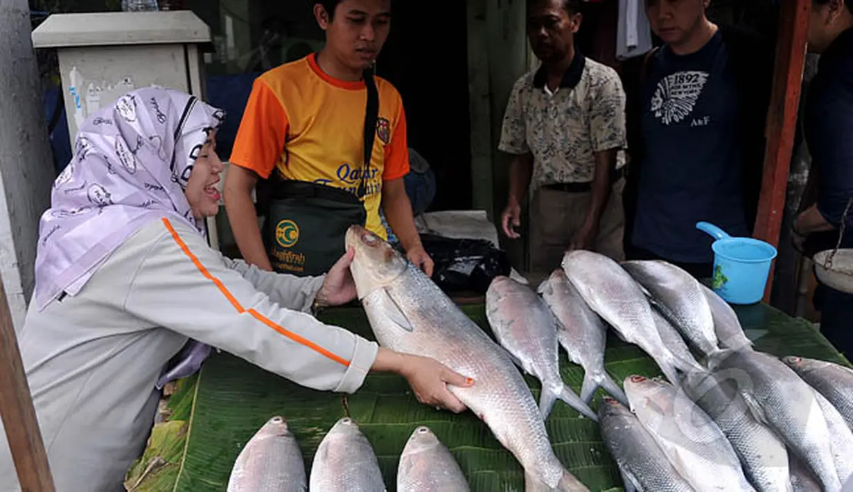 Aktivitas jual-beli ikan bandeng di pasar musiman kawasan Rawa Belong, Jakarta, Rabu (18/2). Bagi kalangan Tionghoa, pindang bandeng Imlek adalah perlambang kemakmuran yang berlimpah. (Liputan6.com/Johan Tallo)