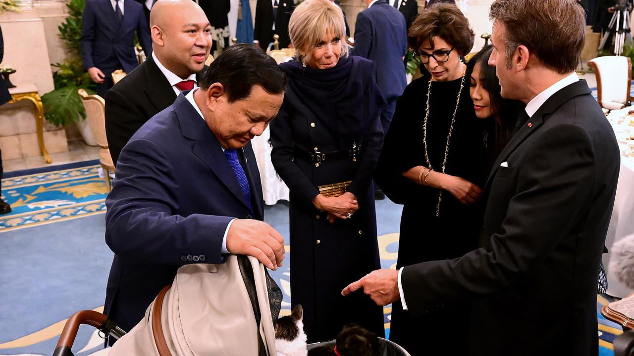 Saat Kucing Kesayangan Prabowo 'Bobby Kertanegara' Bertemu Presiden Prancis Macron