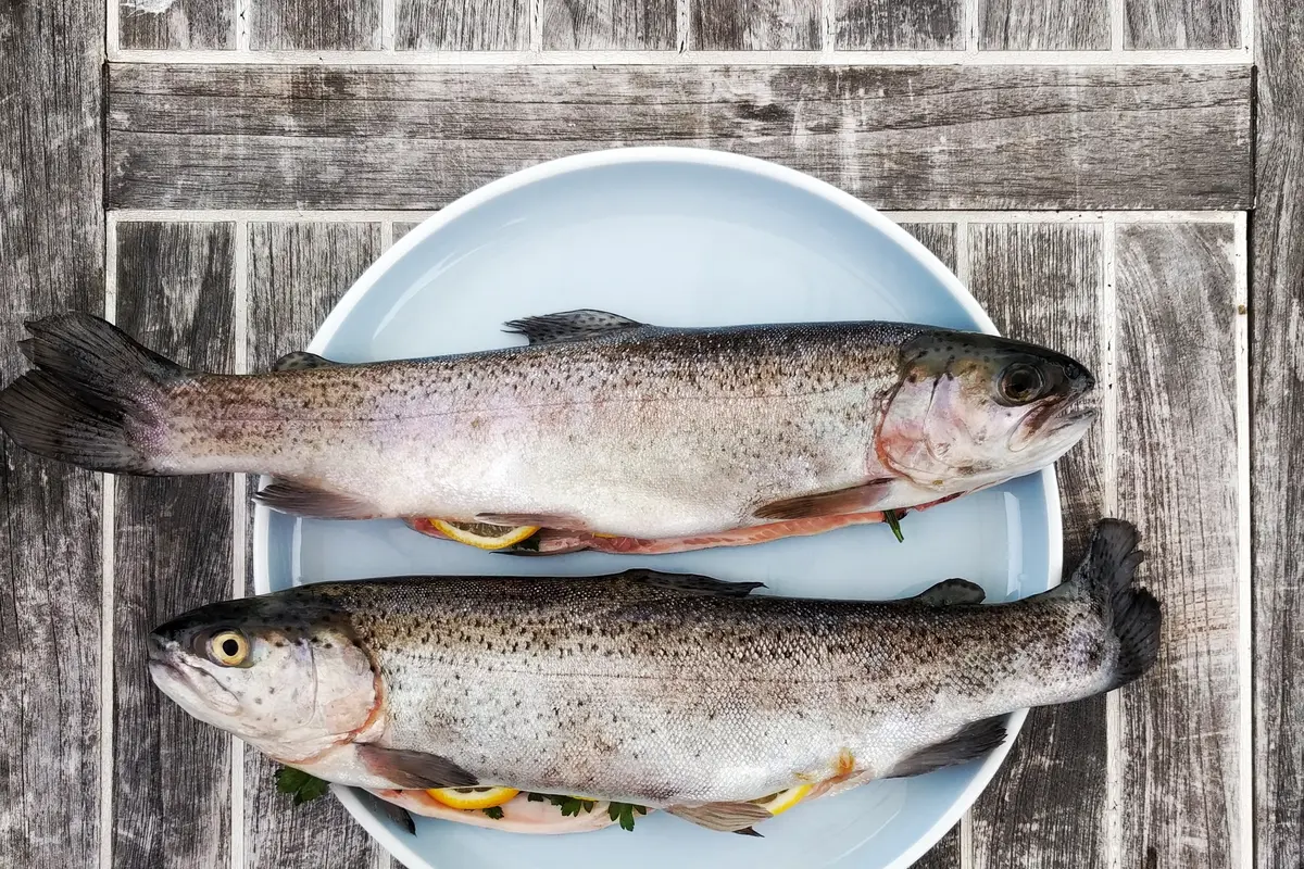 ikan berformalin