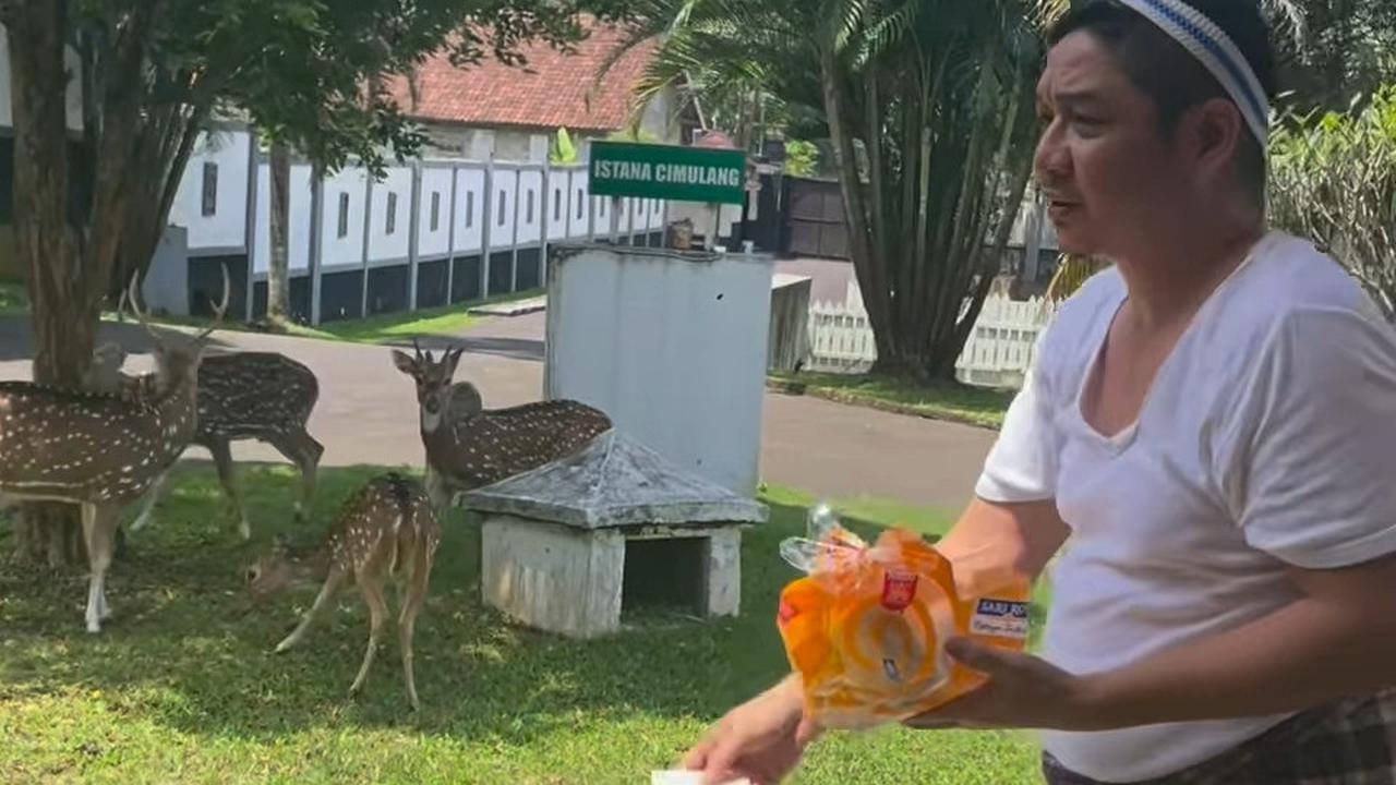Potret Pasha Ungu Beri Makan Roti Untuk Para Rusa di Rumah Mewahnya, Disebut Merakyat Pakai Sarung & Peci
