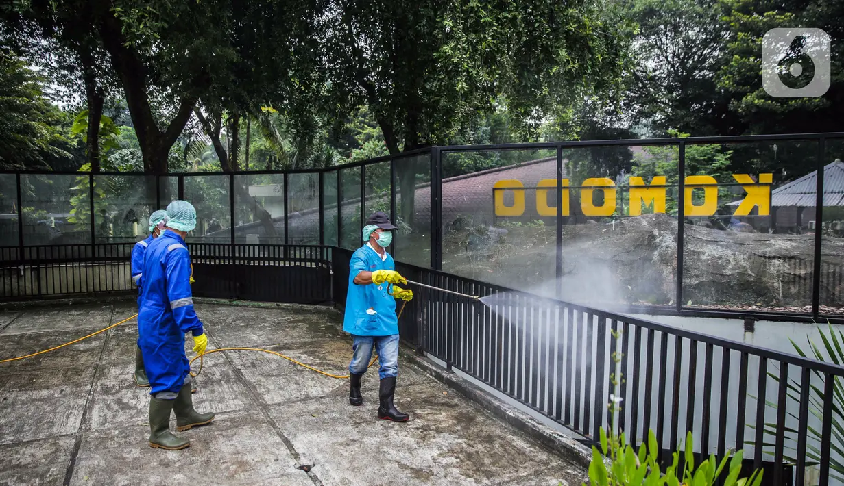 Petugas menyemprotkan cairan disinfektan di Taman Komodo TMII, Jakarta, Rabu (18/3/2020). Penyemprotan dilakukan untuk mengantisipasi penyebaran virus corona COVID-19. (Liputan6.com/Faizal Fanani)