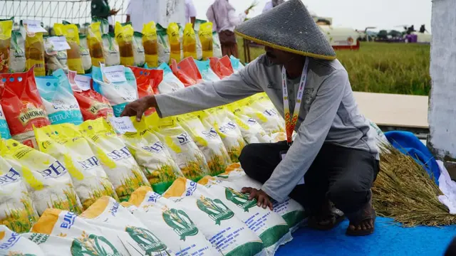 Badan Pangan Nasional (Bapanas) memastikan ketersediaan pangan pokok strategis secara nasional masih aman. (Dok Bapanas)