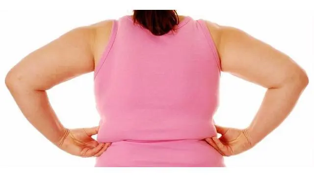 Tak hanya laki-laki yang mengalami kegemukan, jumlah ibu rumah tangga juga menunjukkan peningkatan obesitas yang signifikan.  Riset Kesehatan Dasar (Riskesdas) 2013 mencatat, prevalensi obesitas wanita sebesar 32,9 persen dan pria sebanyak 19,7 persen