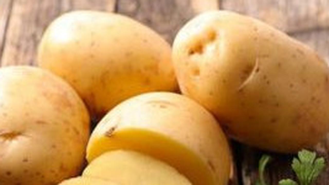 Kentang dan Asam Urat: Tips Pengolahan untuk Manfaat Maksimal