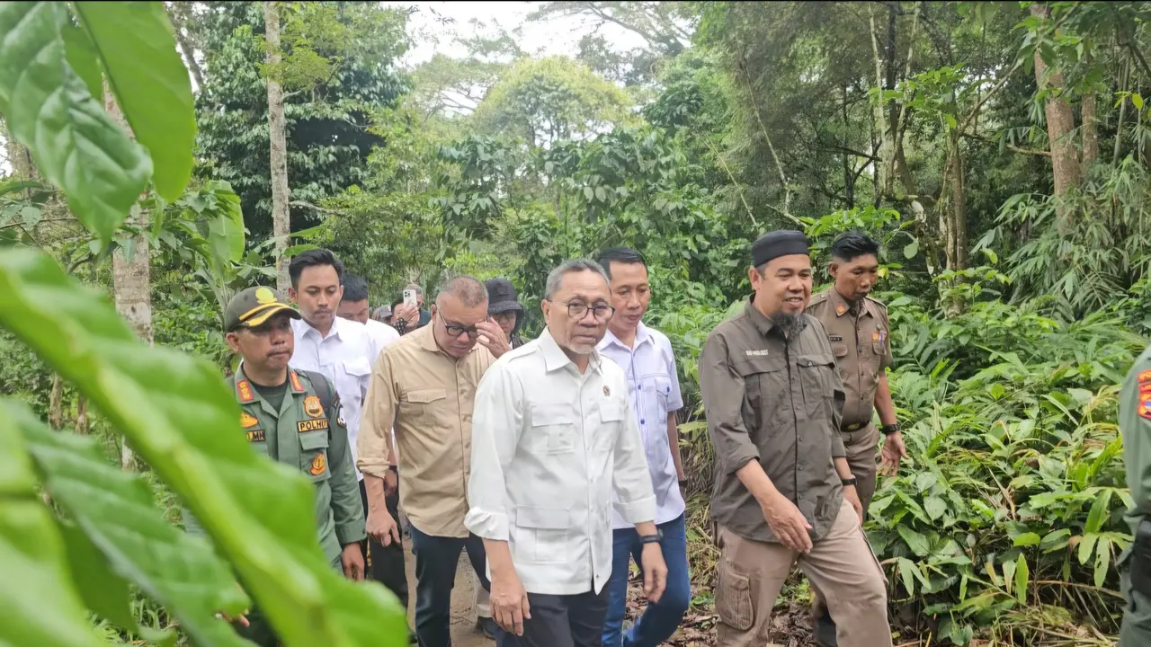 Menko Pangan Zulkifli Hasan bersama sejumlah Dubes saat menyusuri hutan Rajabasa di Way Kalam, Lampung Selatan. (Liputan6.com/Dicky Agung Prihanto)