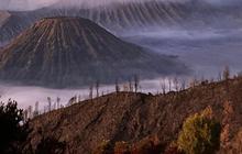 Jadi Taman Nasional Terindah di Dunia, Ini 5 Fakta Menarik Bromo yang Wajib Dikunjungi