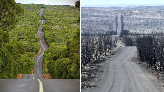 6 Potret Sebelum dan Sesudah Kebakaran di Australia Ini Bikin Prihatin