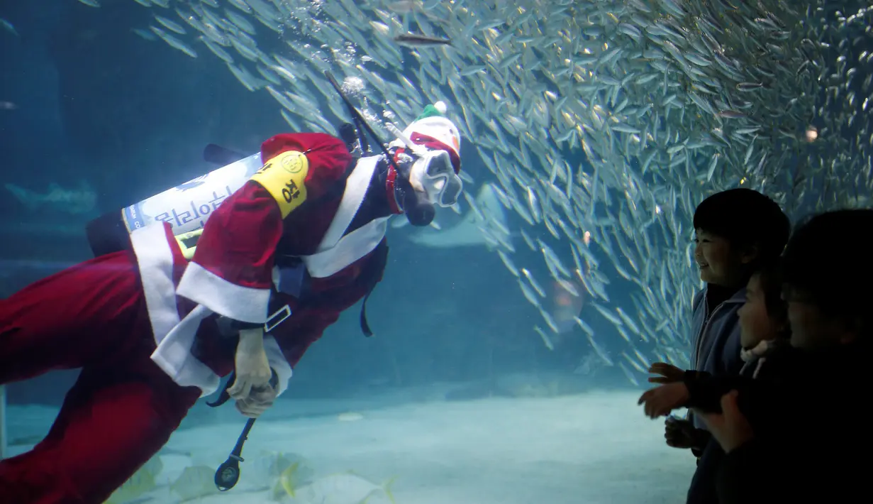 Pengunjung melihat aksi seorang penyelam memberi makan sekumpulan ikan sarden saat melakukan aksi promosi untuk perayaan Natal, "Sardines Feeding Show with Santa Claus" di Aquarium Coex di Seoul, Korea Selatan, (17/12). (REUTERS/Kim Hong-Ji)