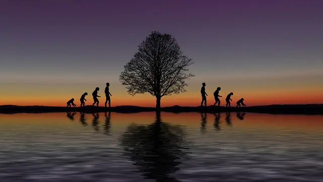 Ilustrasi Evolusi ManusiaI