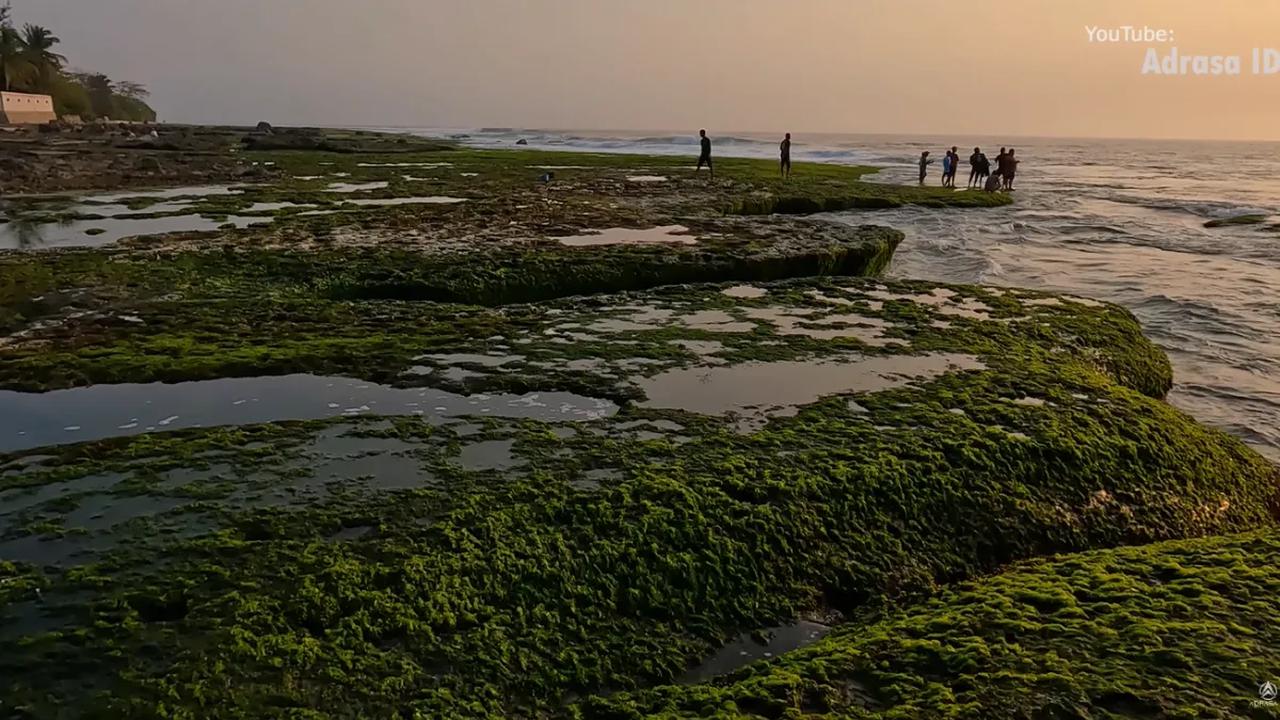 Masih Hijau