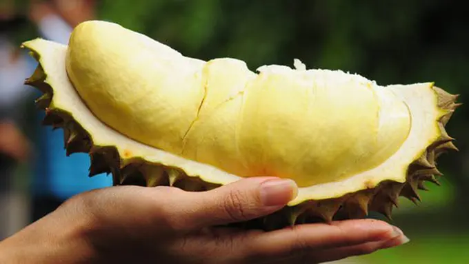 Ilustrasi durian./Copyright shutterstock.com