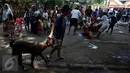 Panitia menggiring hewan kurban berupa kambing yang akan disembelih di kawasan Musholla Al-Insani, Jakarta Selatan, Senin (12/9). Proses pemotongan hewan kurban menjadi tontonan warga yang sudah berdatangan ke lokasi sejak pagi. (Liputan6.com/Johan Tallo)