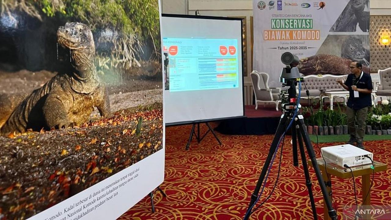 Pemerintah Tingkatkan Upaya Konservasi Komodo Melalui SRAK Nasional hingga 2035