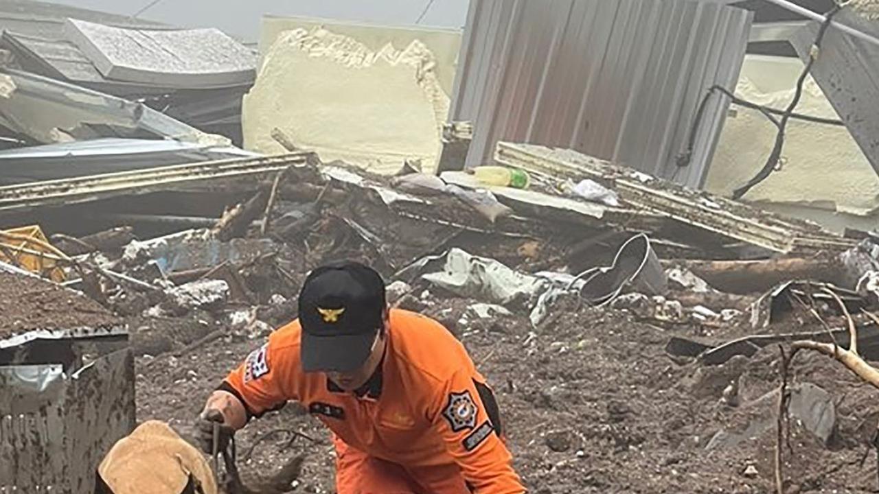 Tim penyelamat juga menurunkan sejumlah anjing pelacak guna memudahkan petugas untuk melakukan pencarian korban yang masih terjebak dalam tanah longsor.