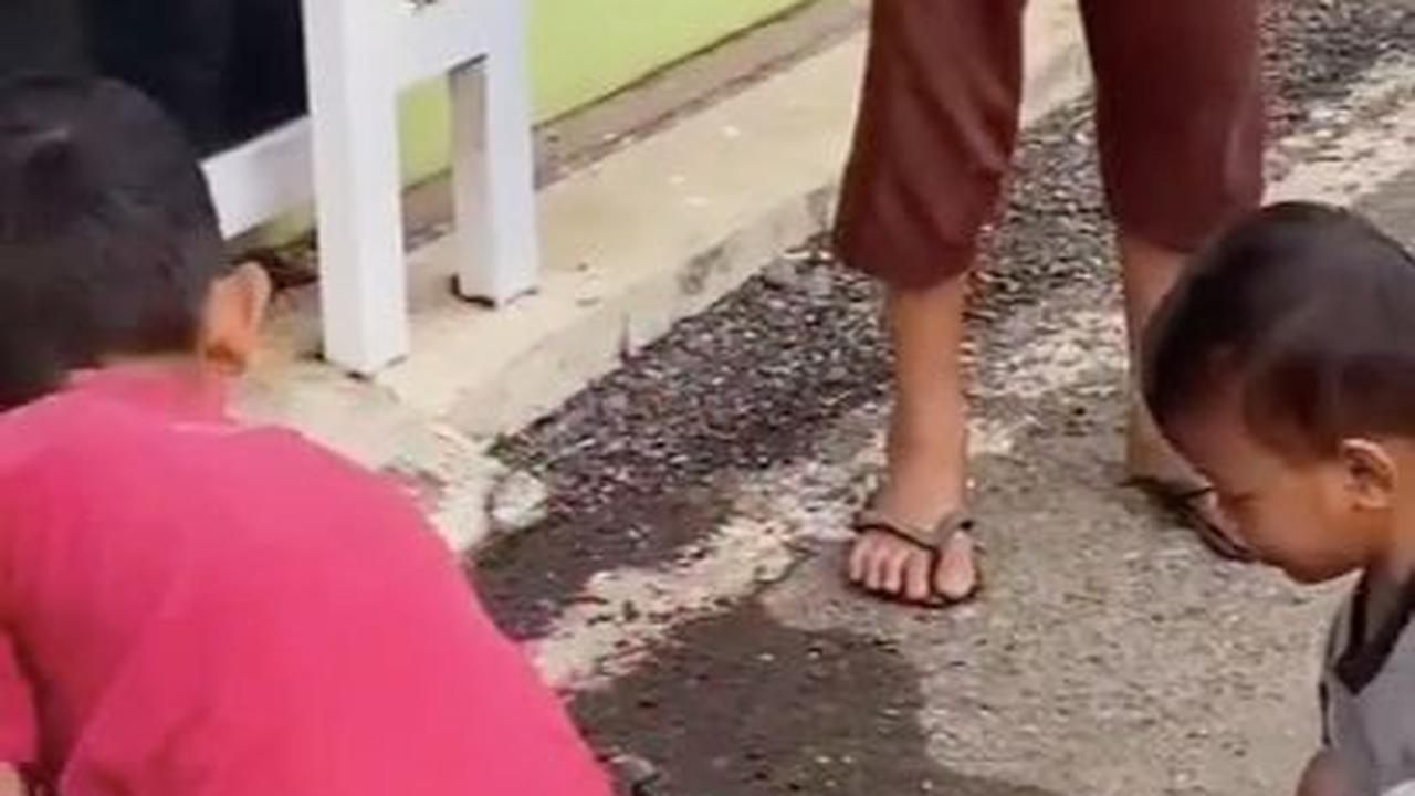 Gokil, Nyali Bocah Ini Tangkap Ular Sanca Sepanjang 3 Meter