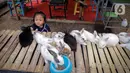 Apalagi, lanjut Heru, dalam pemeran ini ada stan dari Taman Margasatwa Ragunan. Ada juga stan dari tingkat kota/kabupaten administrasi dan dinas pertamanan. (Liputan6.com/Faizal Fanani)