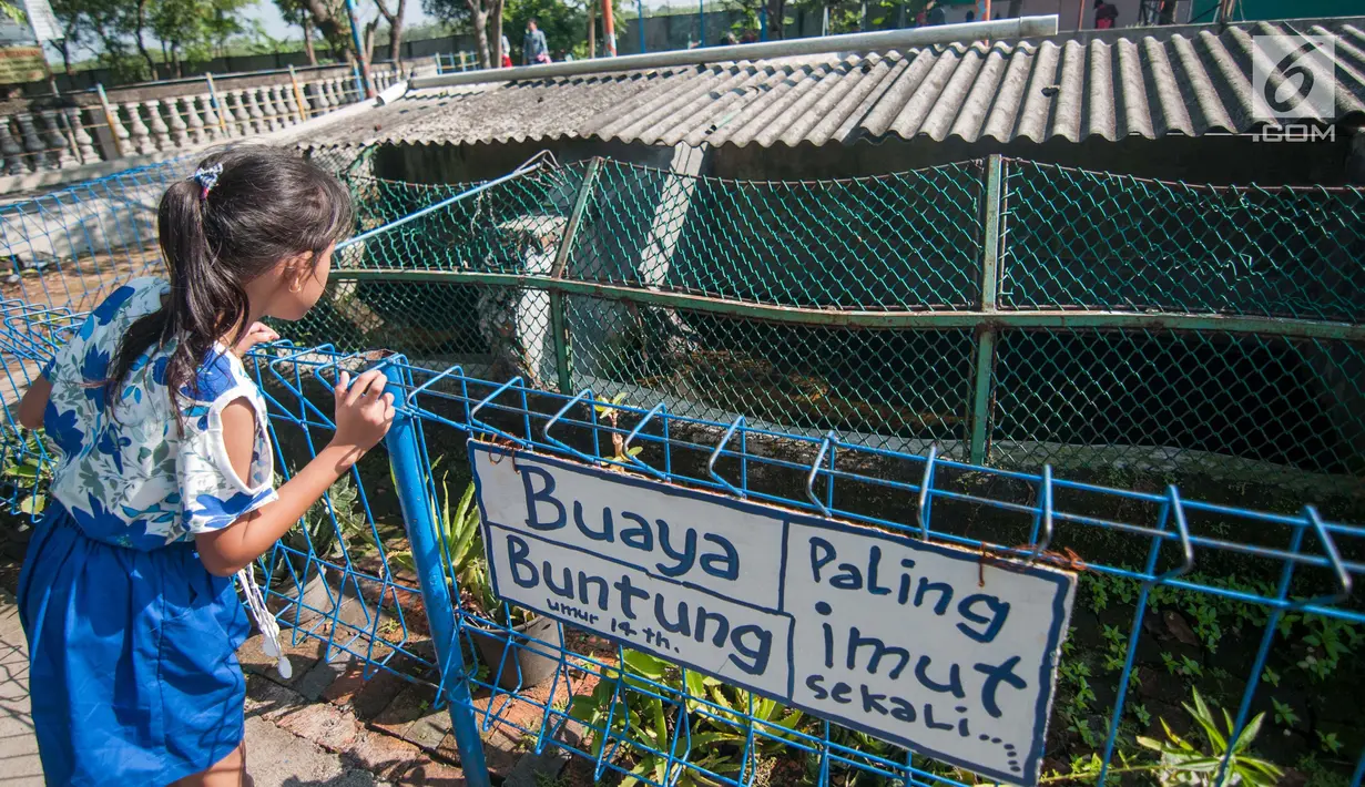 Seorang anak melihat buaya di penangkaran sekaligus tempat wisata Taman Buaya Cikarang di kabupaten Bekasi, Rabu (28/6). Salah satu penangkaran terbesar di Asia bahkan dunia ini bisa dijadikan alternatif wisata libur Lebaran. (Liputan6.com/Gempur M Surya)