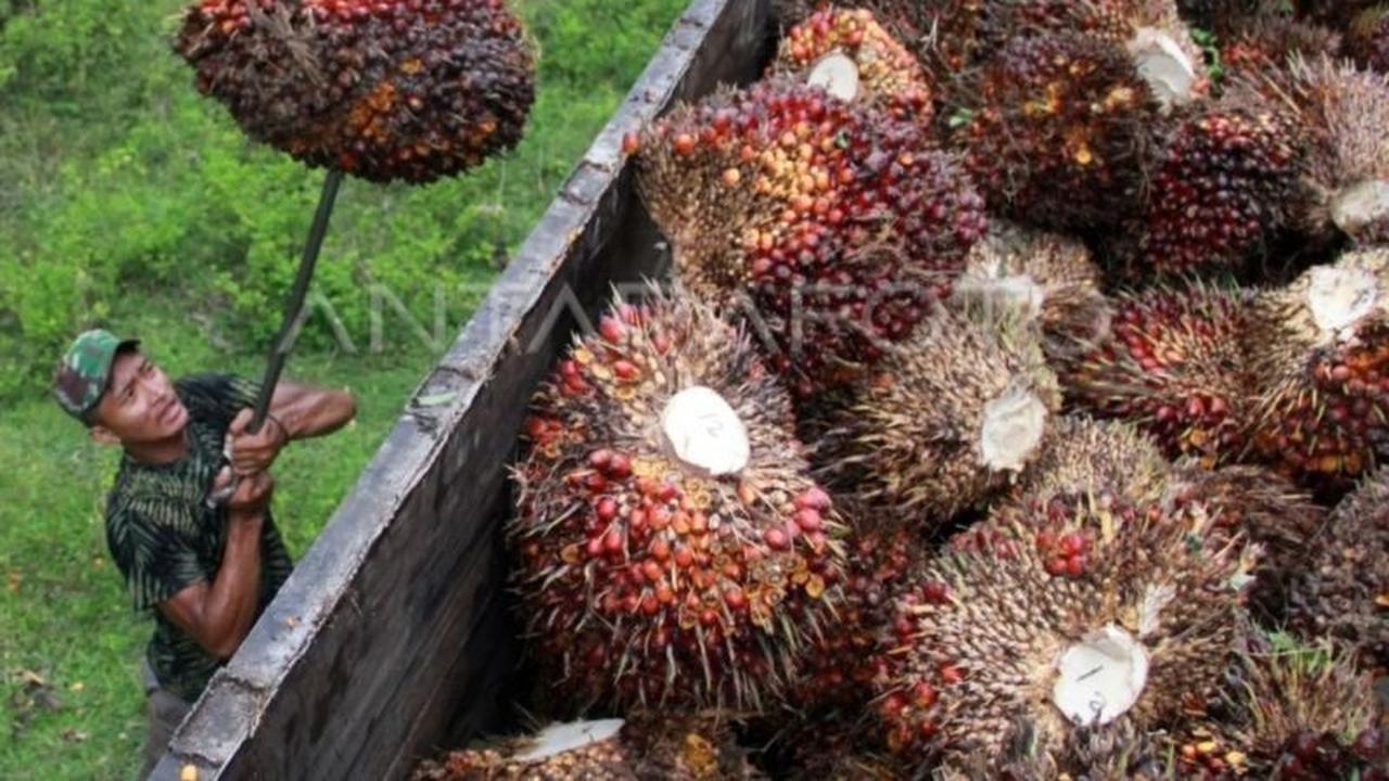Bukan Sembarangan, Pemprov Sumut Pastikan Penerima Bantuan Iuran Jamsostek Sumut Tepat Sasaran