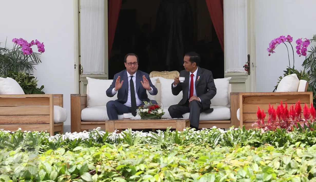 Presiden Jokowi dan Presiden Prancis Francois Hollande terlihat berbincang sambil minum teh di beranda Istana Merdeka, Jakarta, Rabu (29/3). Kunjungan kenegaraan ini merupakan rangkaian lawatan Presiden Prancis ke Asia Tenggara (Liputan6.com/Angga Yuniar)