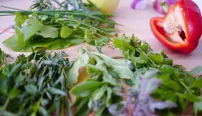 Guru Besar Bioteknologi Ungkap Potensi Besar Herbal Indonesia di Mata Dunia