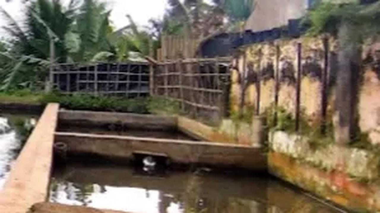 7. Desa Tetebatu