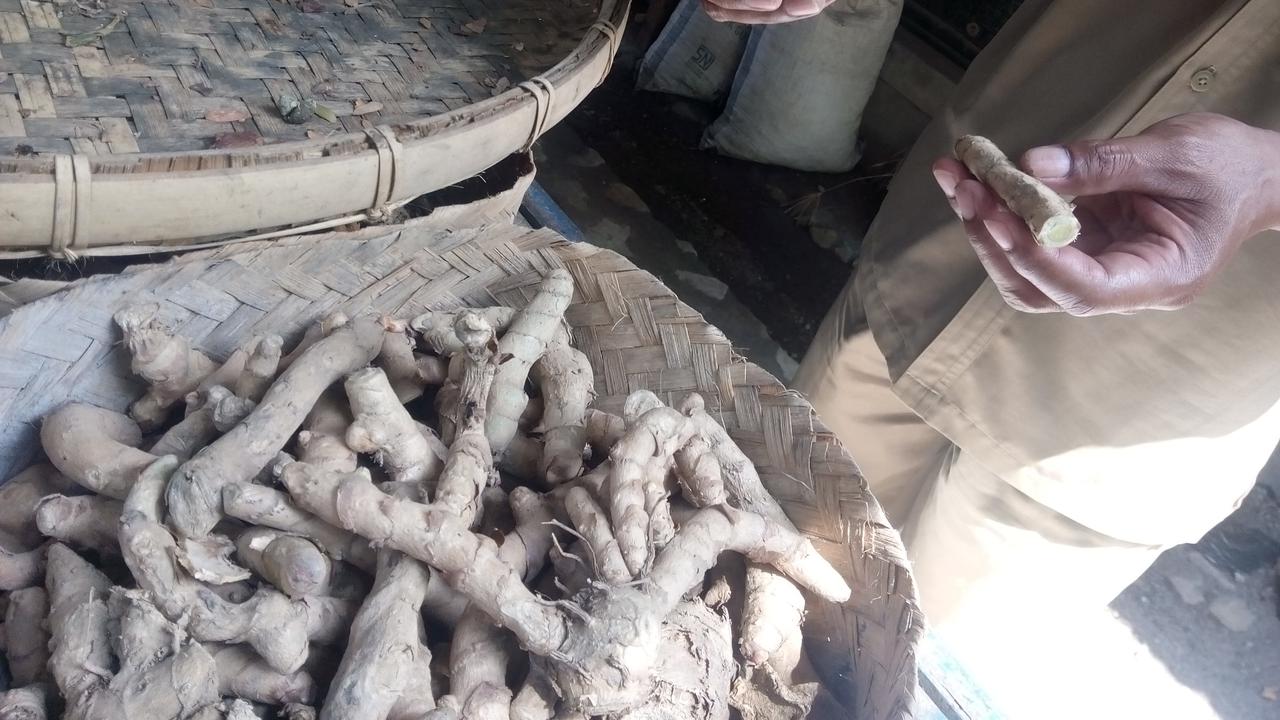 Gaya hidup sehat bisa dimulai dengan kebiasaan orang zaman dahulu. Leluhur sudah membuat jamu agar daya tahan kita kuat dan penyakit tidak masuk seperti virus corona.
