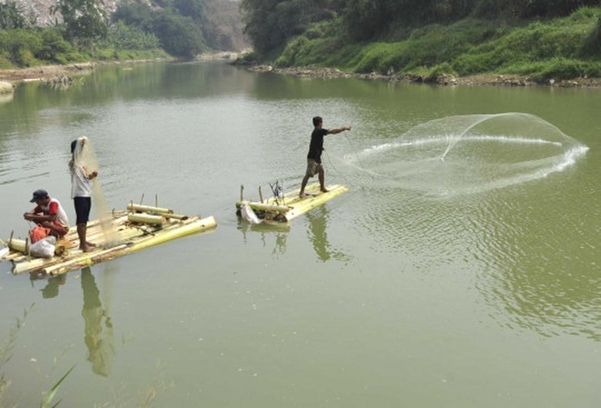 Berkah kemarau bagi pencari ikan di Sungai Cisadane