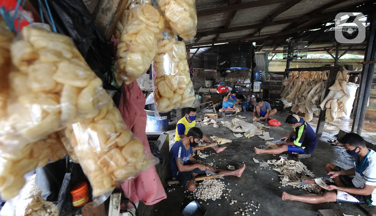 Pekerja memotong kulit sapi saat produksi kerupuk kulit di Pabrik Krupuk Kulit Bambang, Depok, Rabu (17/2/2021). Pemilik usaha tersebut menurunkan jumlah produksi kerupuk kulit mentah siap goreng dari 1 ton menjadi 500 kg per hari akibat pandemi COVID-19. (merdeka.com/Arie Basuki)