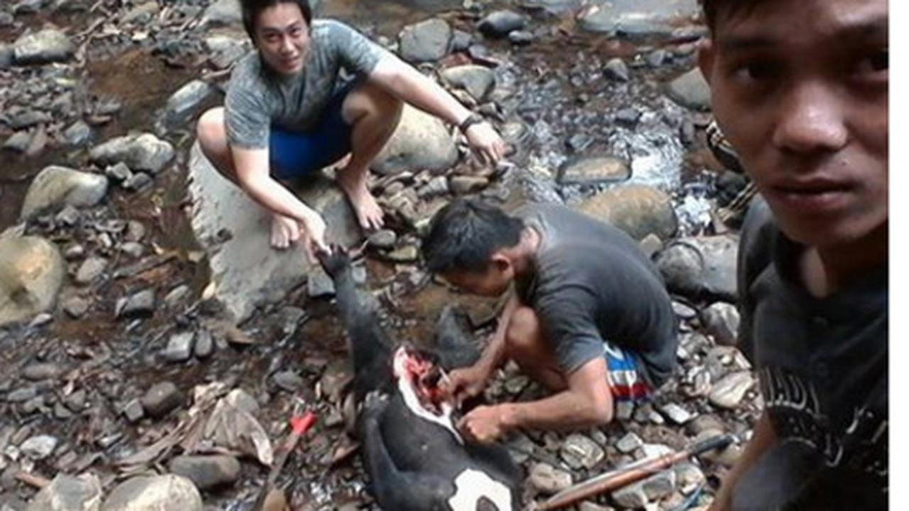 Bunuh beruang madu dan pamer di Facebook, PNS Kukar dipolisikan