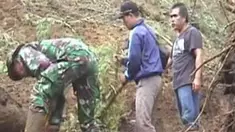 liputan6