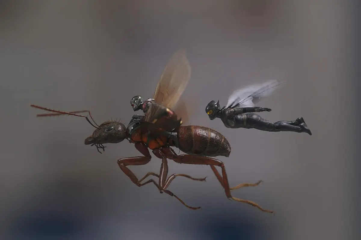 Ant-Man and the Wasp. (Marvel Studios)